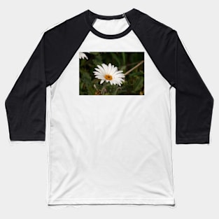 clb daisy Baseball T-Shirt